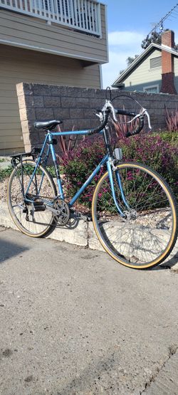 Raleigh RecordAce XL Bike