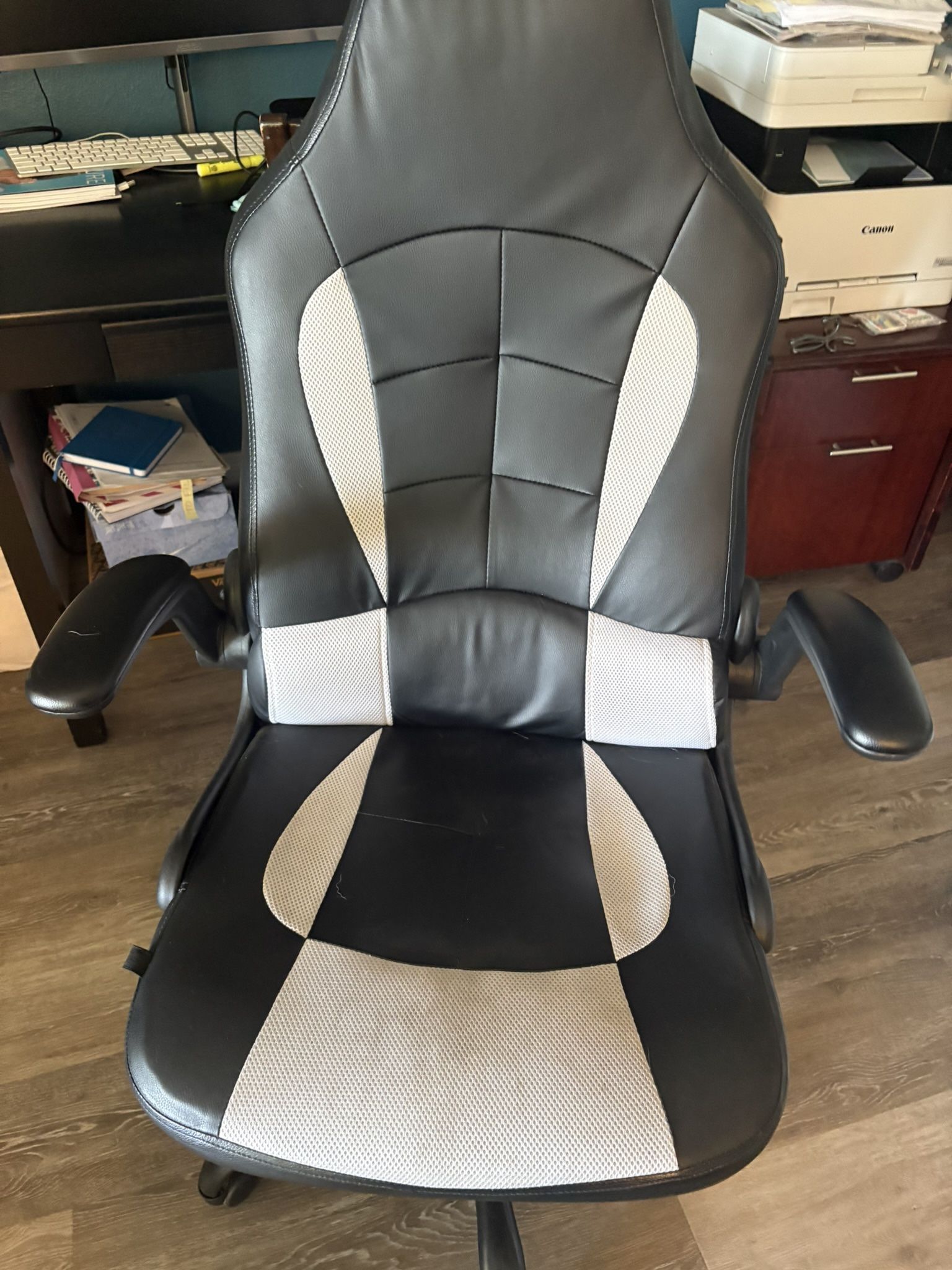 Office / Gaming Chair