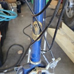 Trek Vintage Bicycle