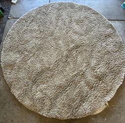 Tan/Beige Circular Area rug