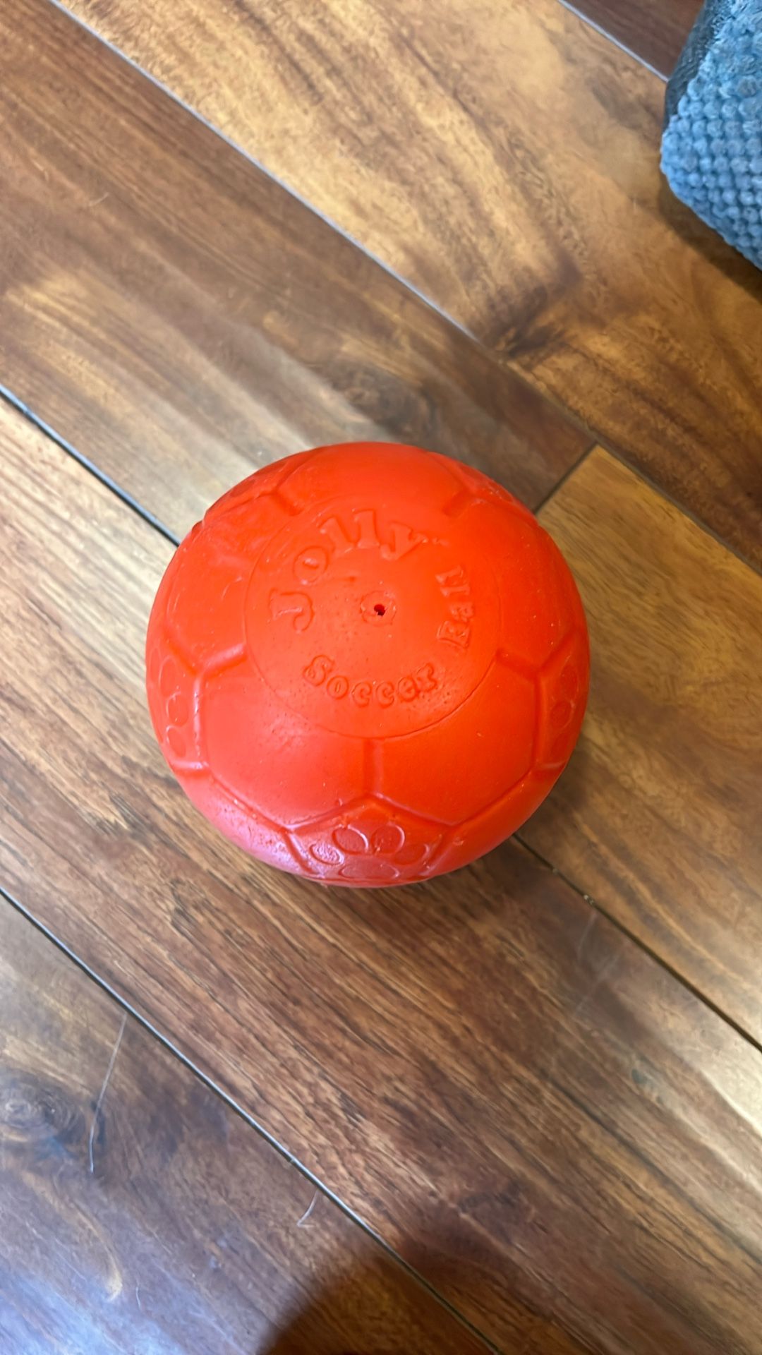 Jolly Pets Soccer Ball Floating-Bouncing