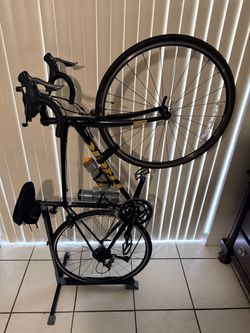 Trek Domane AL 2 Road Bicycle