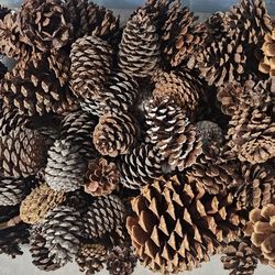 Assorted Pine Cones (30pcs)