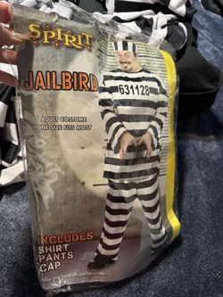 Men’s jailbird Costume