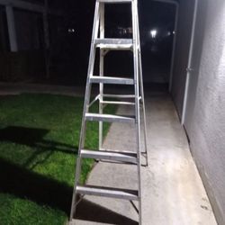 Aluminum Ladder