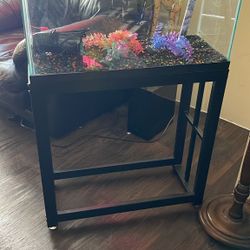 Fish Tank