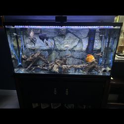 60 Gallons Fish Tank Pecera Aquarium 