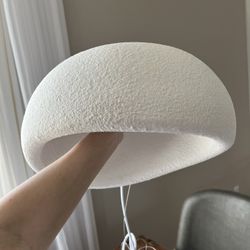 New Light Fixture Pendant 