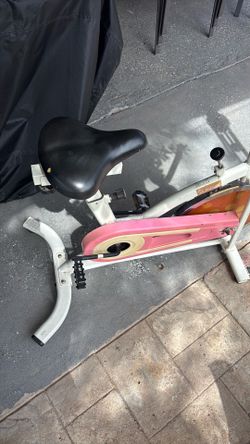 Sunny Exercise Bike