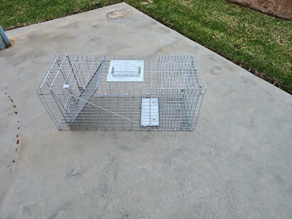 Trap For Opossum & Racoons