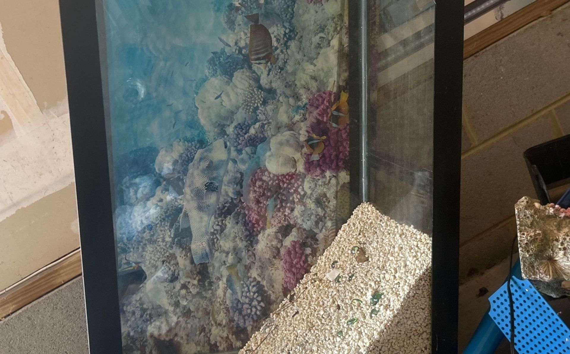 Fish tank Quality