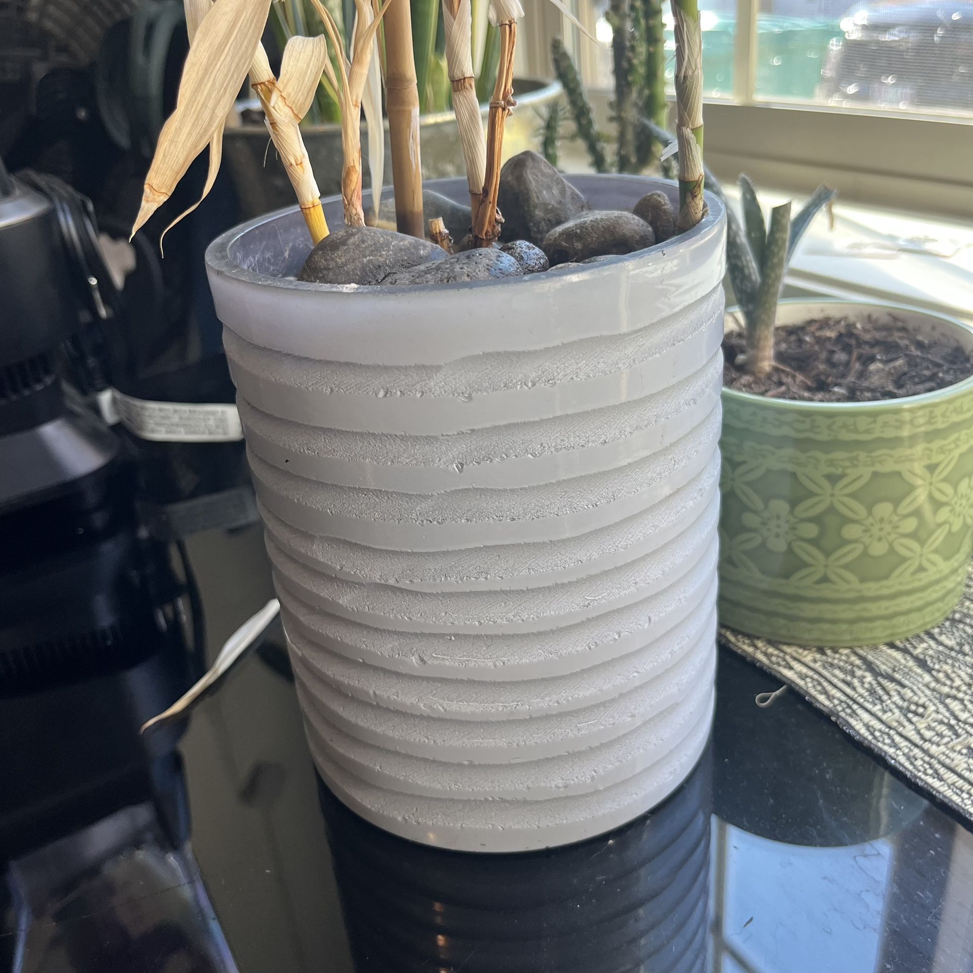 Bamboo Plant And Pot 