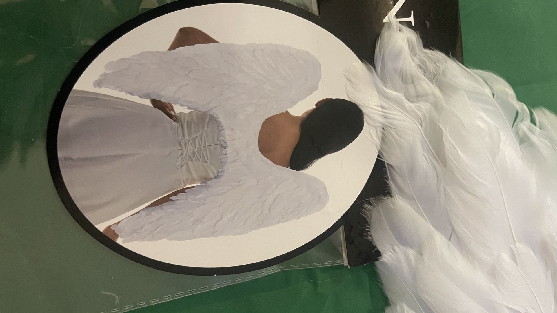 Halloween costume. White wings