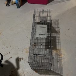 Rodent Trap for FREE