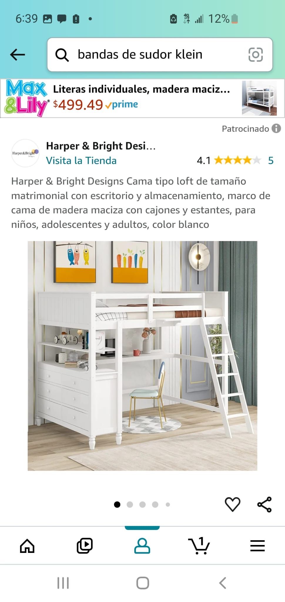 Harper brought designs Brand new Loft bed with desk