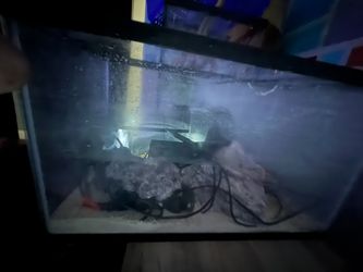 10 gallon salt water tank
