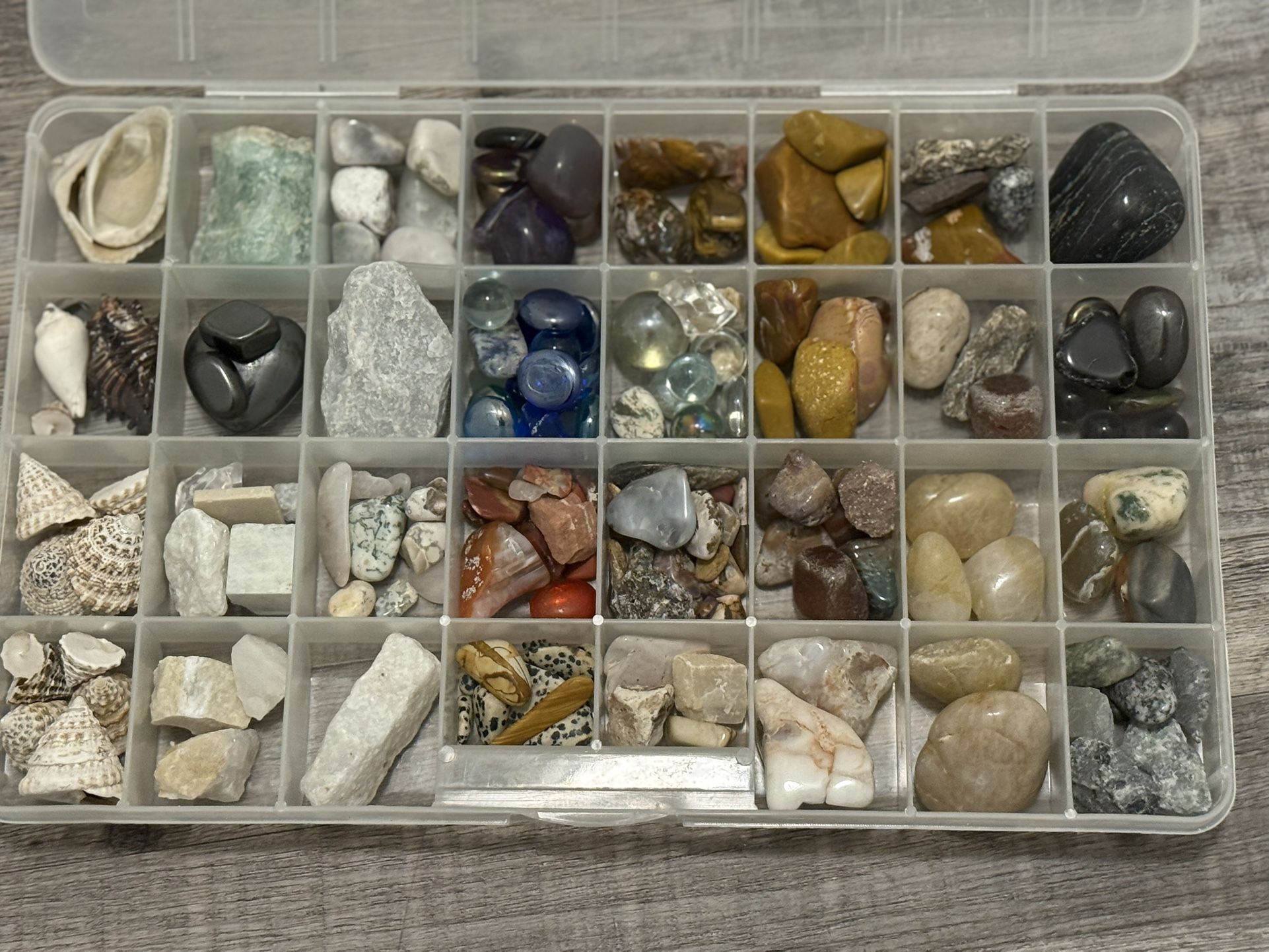 Collection of various rocks, minerals, Shells and crystals