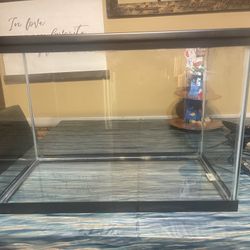 20 gallon tank