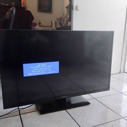 Insignia Flat Screen TV