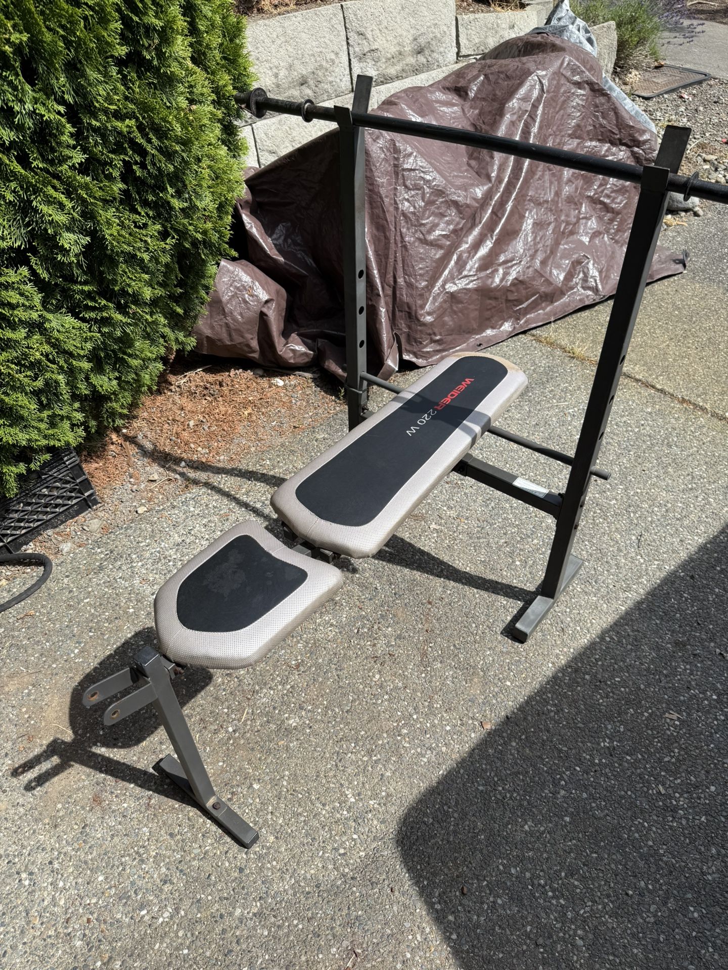 Weights Bench Press
