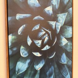 Desert Blue Succulent Framed Wall Art Print 16” x 24” 