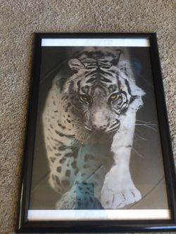 Hologram Picture