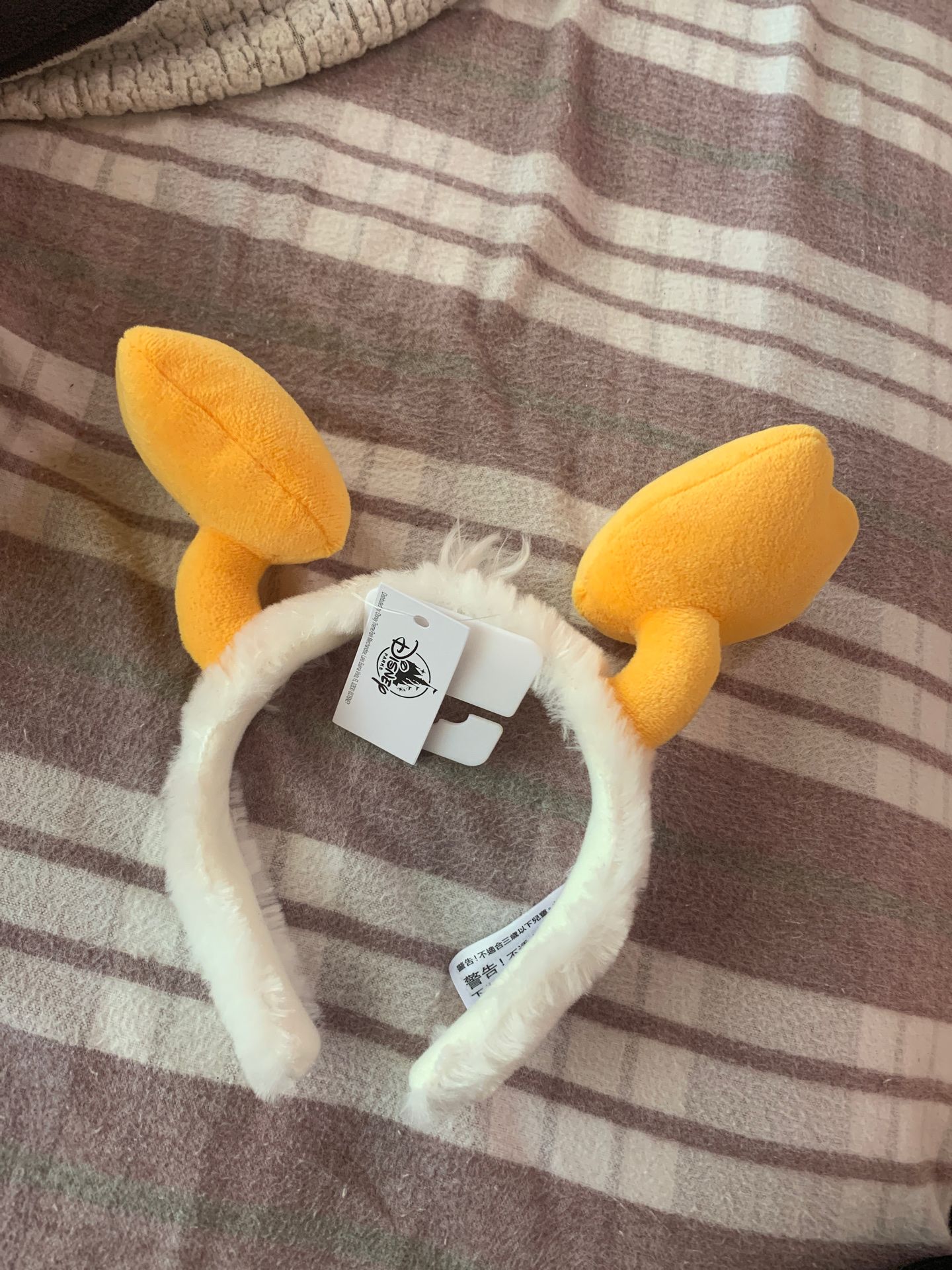 Disney ears