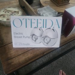 Oteeida Electric Pump
