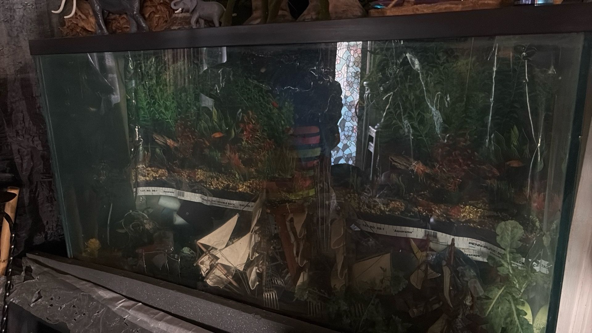 Fish Tank