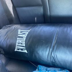 Punching Bag