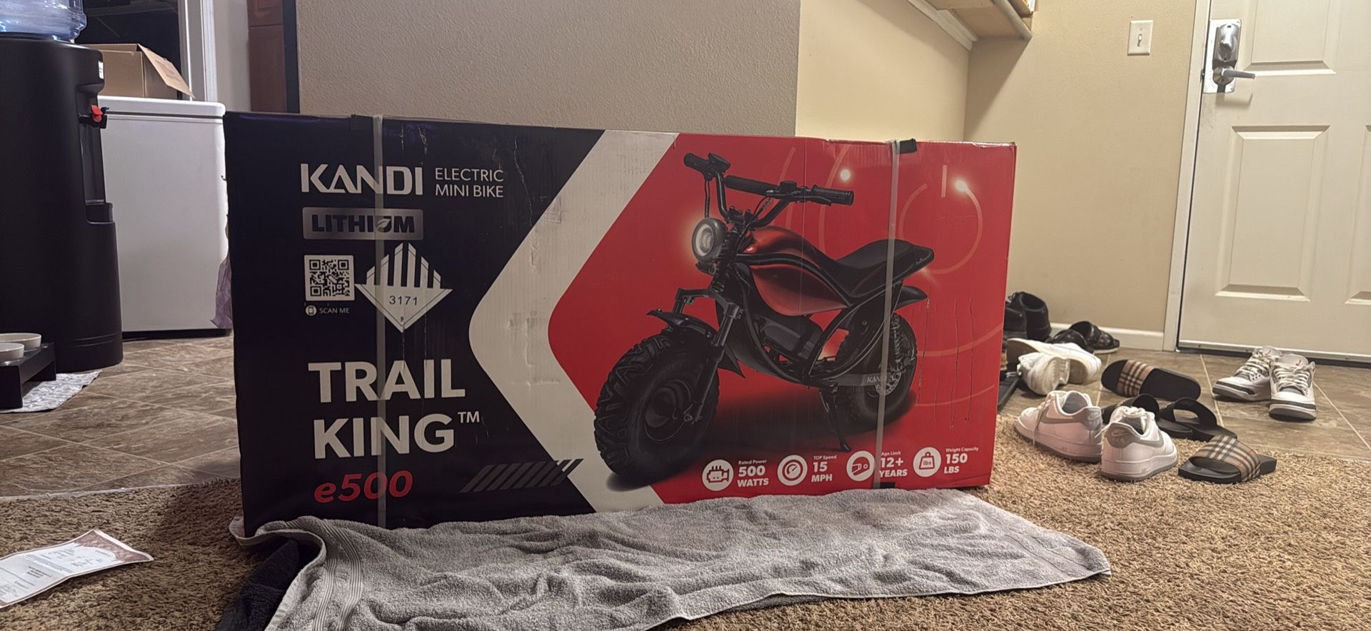 Trail King E-bike