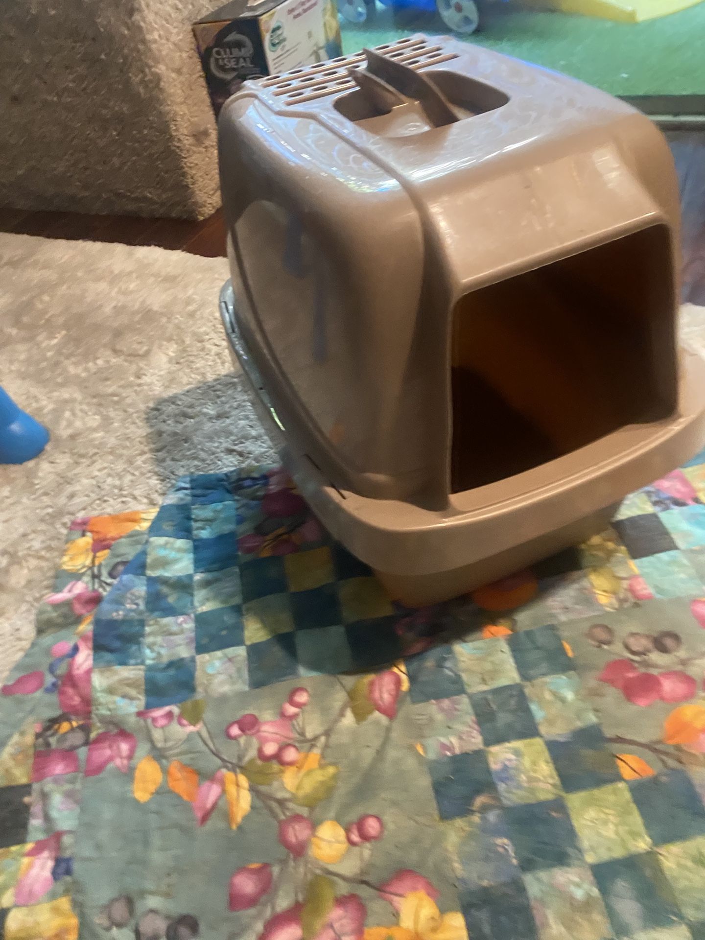 Cat Covered Litter Box
