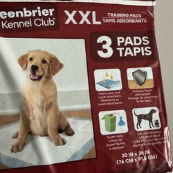 Pads Training For Dogs 30x36in
