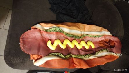 Halloween Hot Dog costume