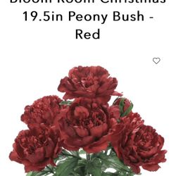 Joann Red Peonies  Flowers And Hydrangeas 