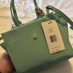 Steve Madden Mint purse
