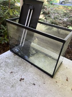 29 Gallon Tank