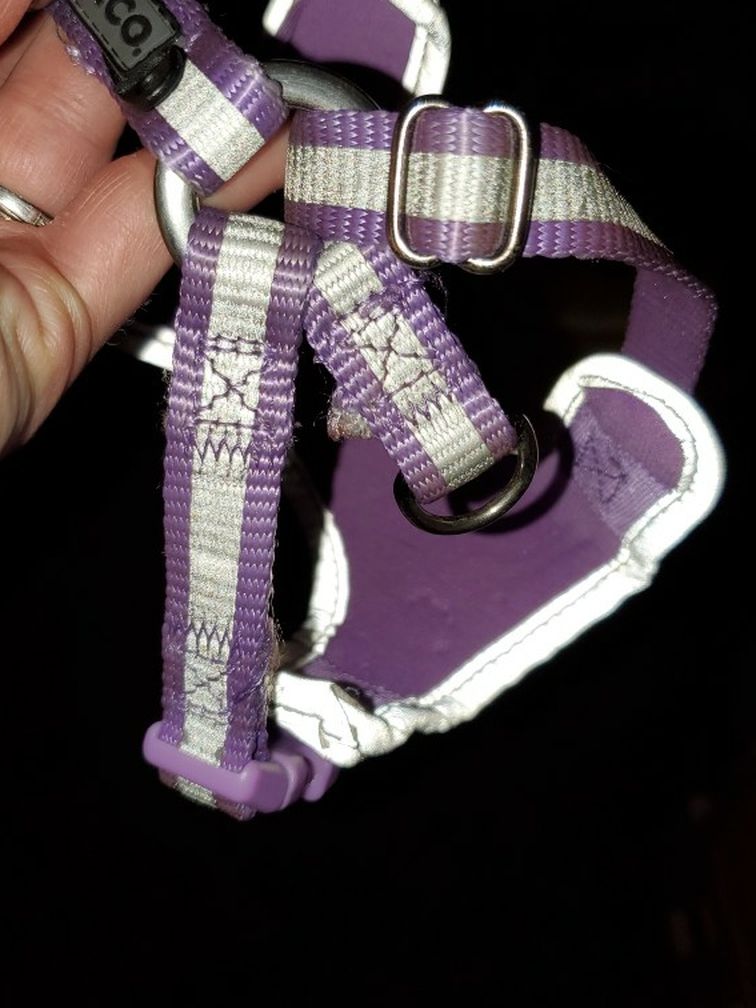 Purple And Silver No Pull Adjustable Harness For Puooy Or Kitty