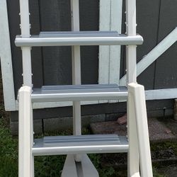 48” Pool Deck Ladder $125