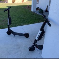 Bird Electric Scooters 