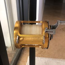 Penn Int. 50 On Star Rod