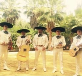 Violin mariachi guitarron