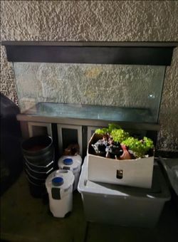 150 Gal Aguarium Tank, stand and equipment
