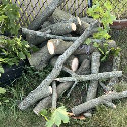Logs