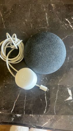 Google Mini