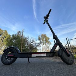 Electric Scooter