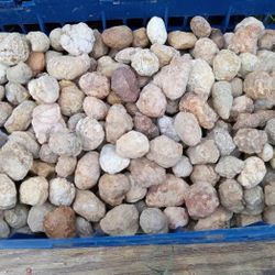 100 Count Unopened Mini Break Your Own Geodes Open Your Own Crystals Minerals Gems 