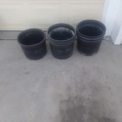 Flower Pot