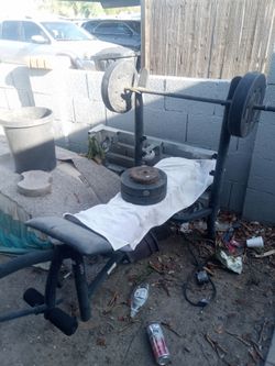 workout bench with weights