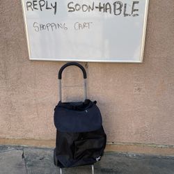 Shopping Cart With Bag Bolsa Con Dolly Para Jalar 